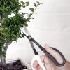 Japanese Pruning Scisssors