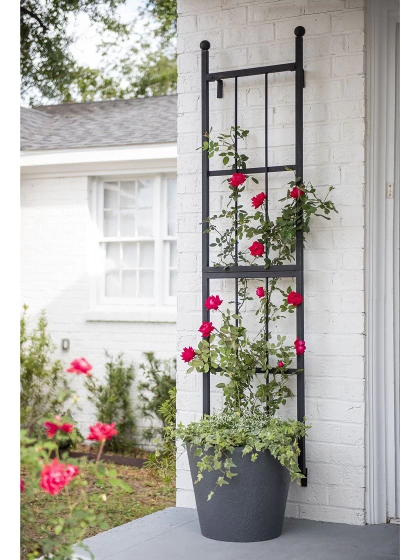 Essex Wall Trellis