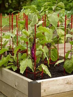 Pepper And Eggplant Stakes, Set Of 3