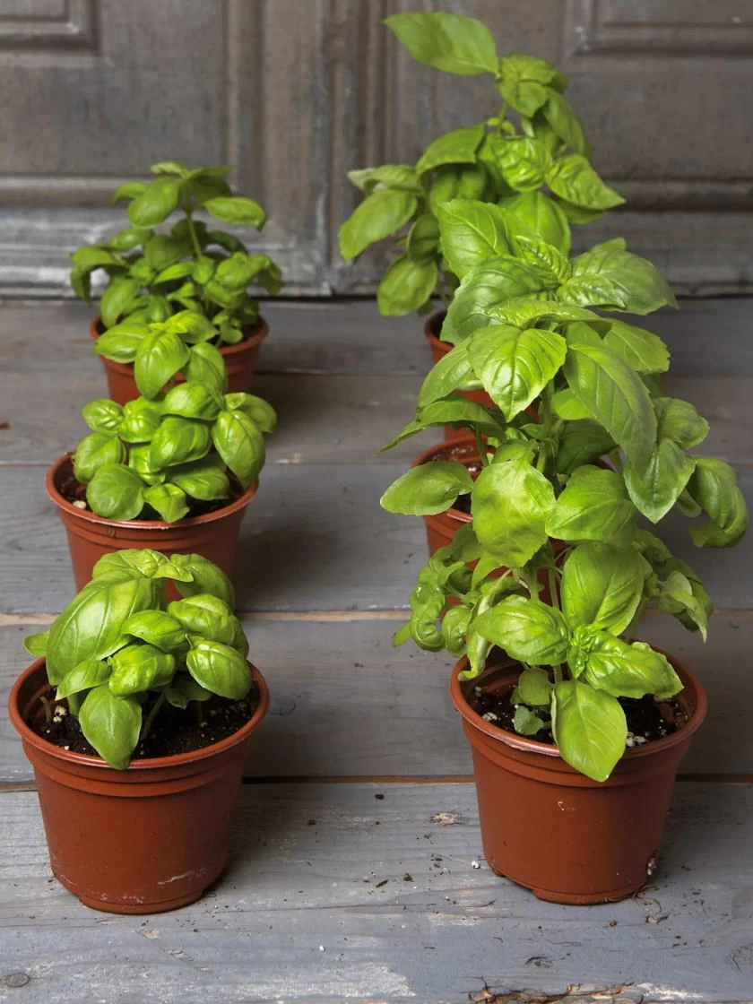 TSK Replenishment Kit - Image 2