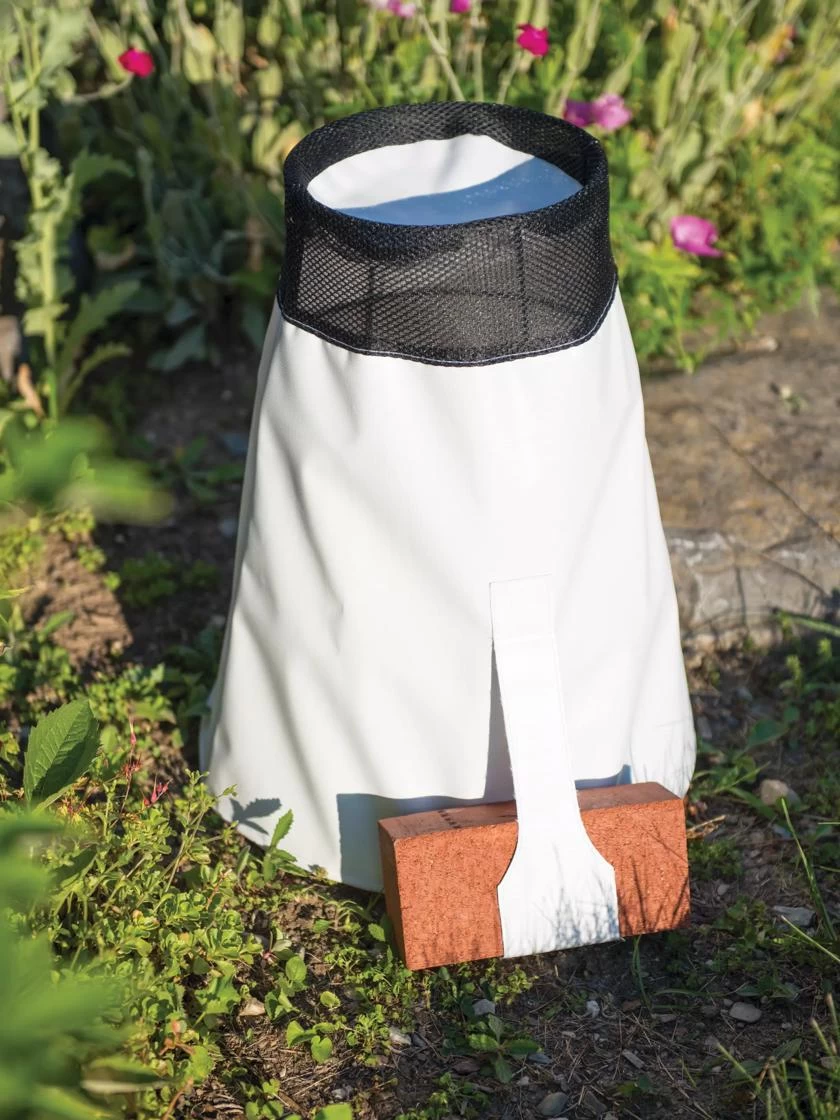 Rosy Cozy® Rose Cone, Large - Image 4