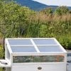 Cold Frame For Compact VegTrug®