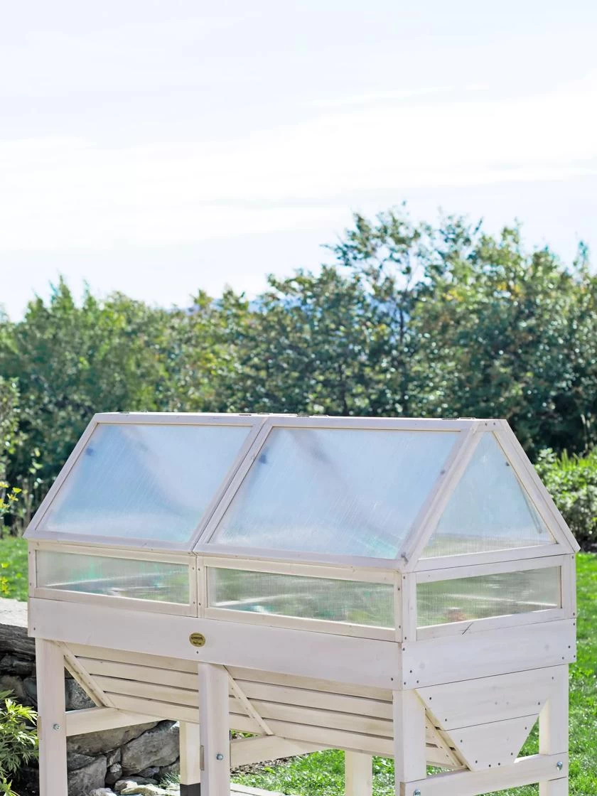 Cold Frame For VegTrug® - Image 3