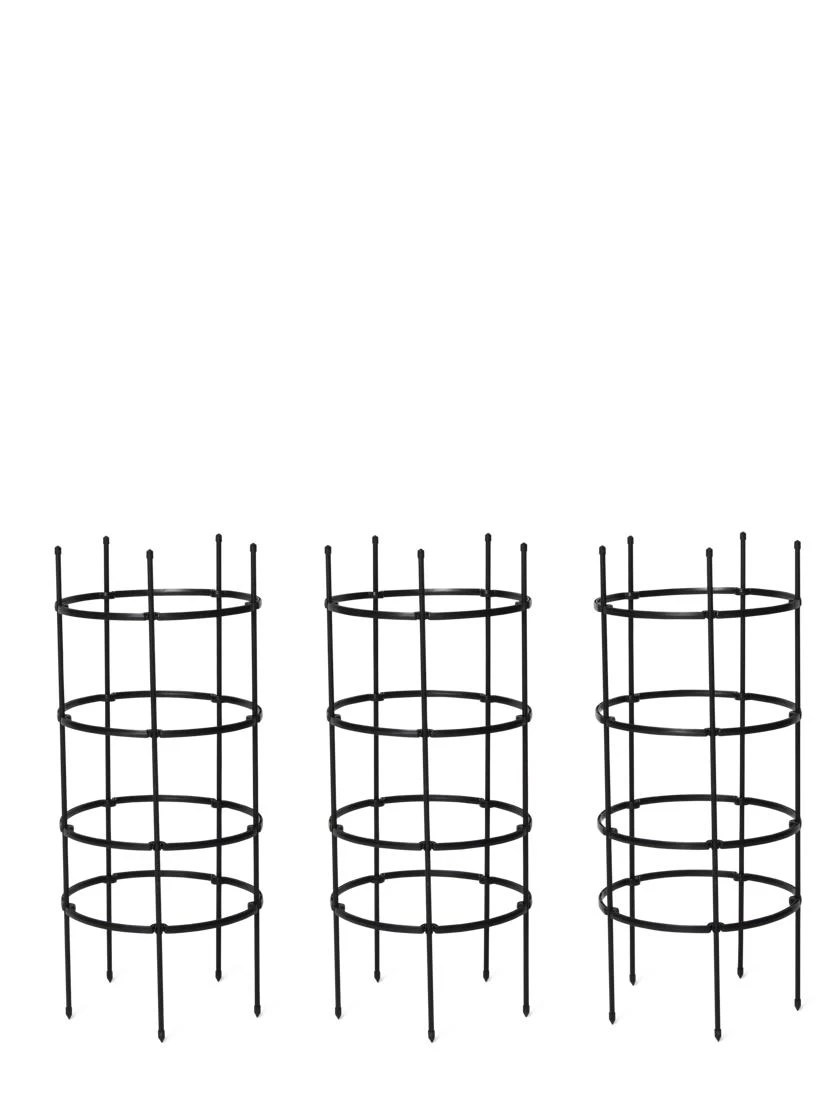 Titan Tomato Cages, Set Of 3 - Image 6