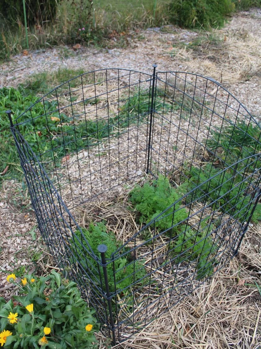 4 Panel Critter Fence - Image 3