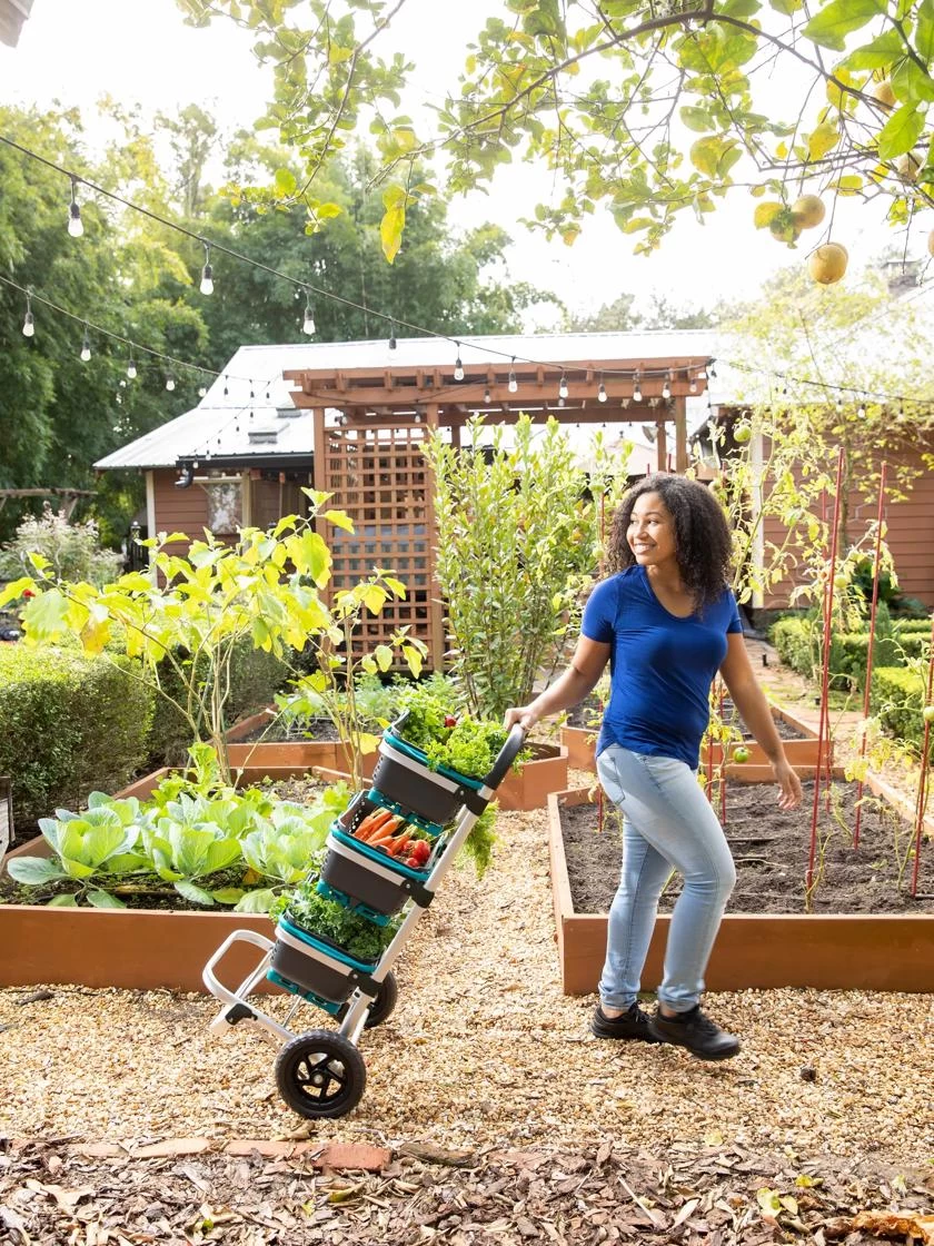 Mod Hod Trolley With Teal Mod Hods - Image 3