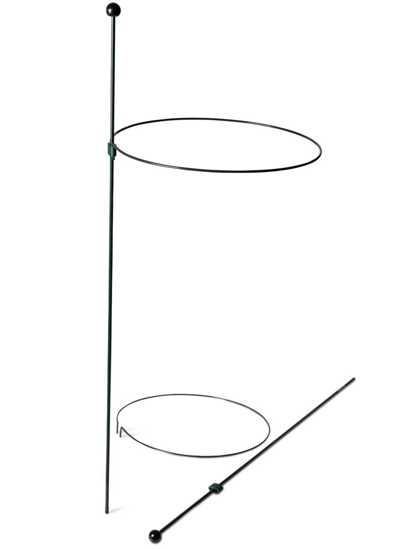 Peacock Classic Plant Support Rings 15", Set Of 2 - Image 4