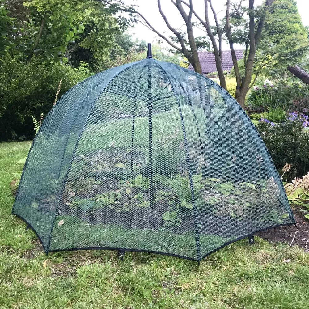 GardenSkill Pop N Crop Plant Umbrella - Image 2