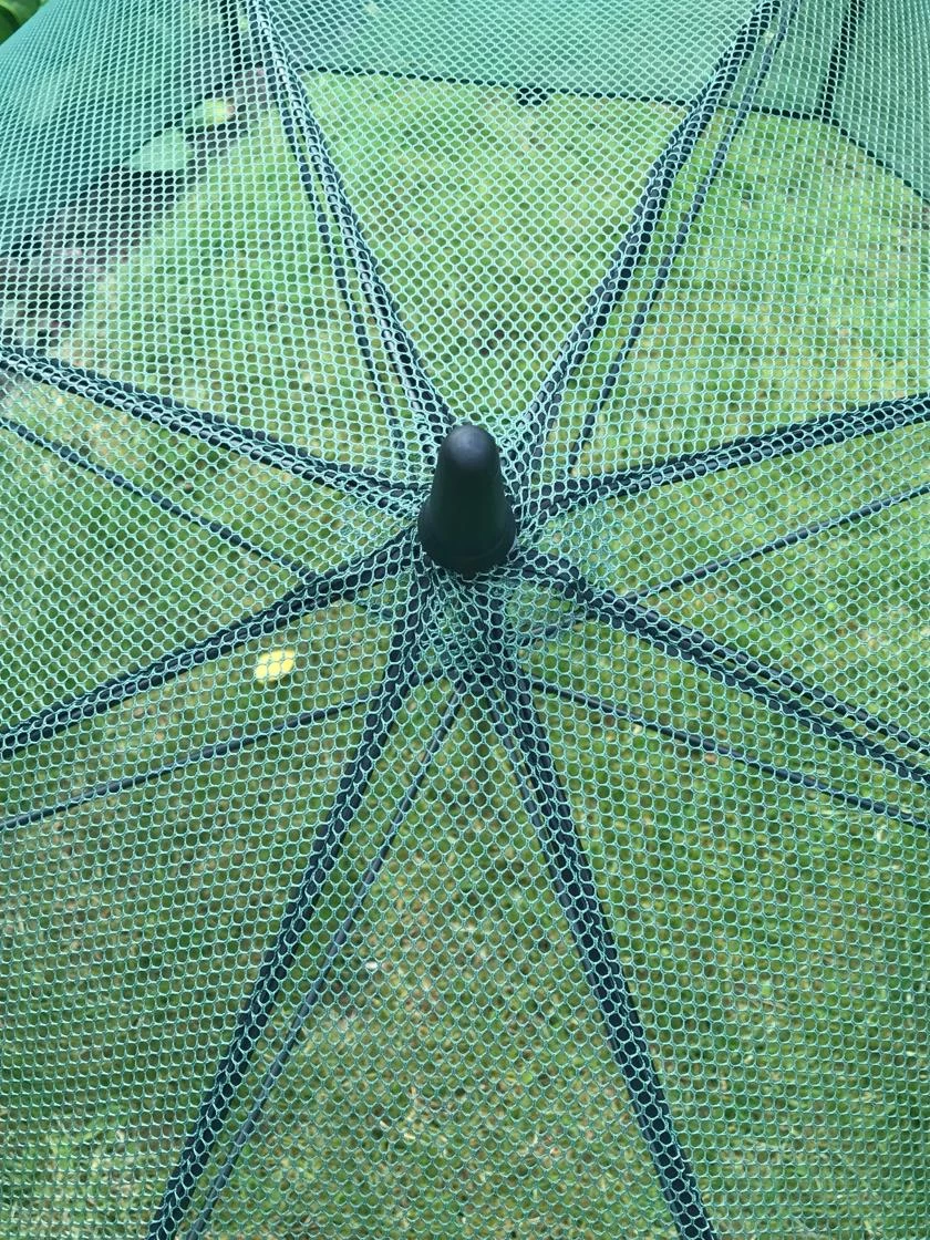 GardenSkill Pop N Crop Plant Umbrella - Image 5