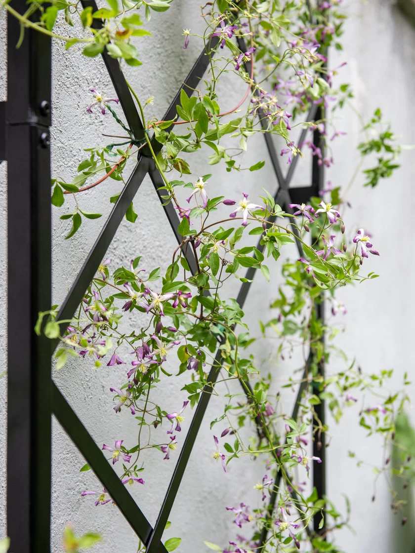 Lattice Gable Wall Trellis - Image 3