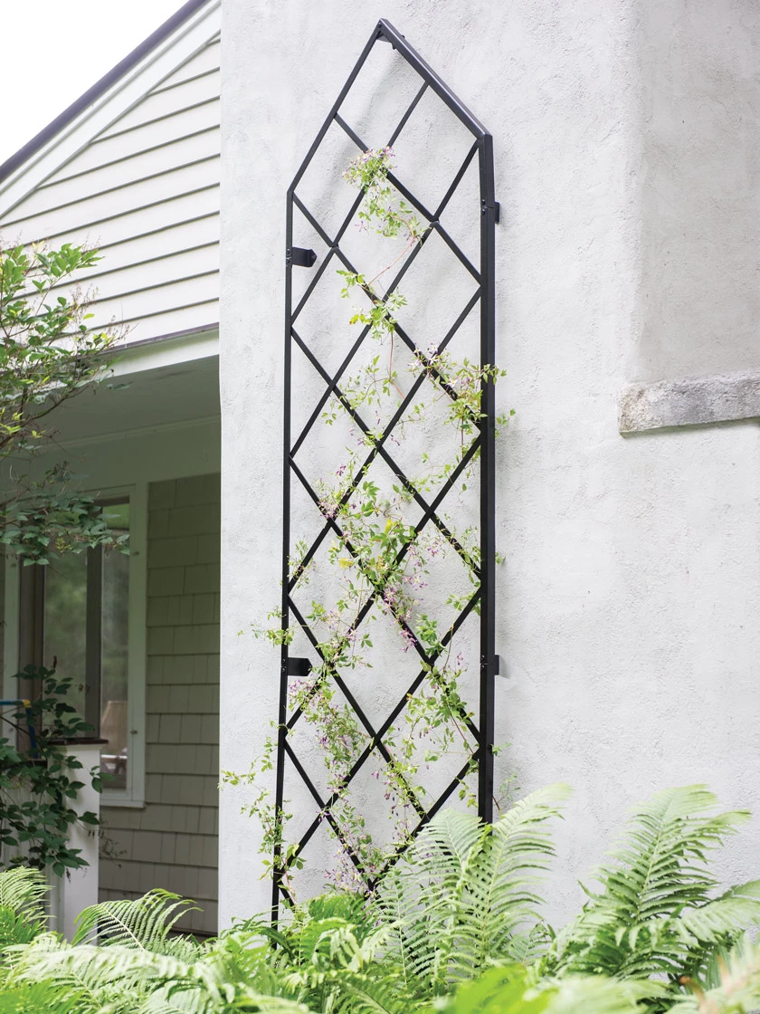 Lattice Gable Wall Trellis