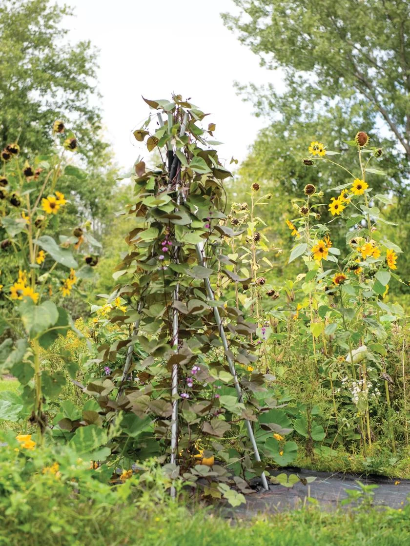 DIY Connector For Teepee Trellis - Image 4