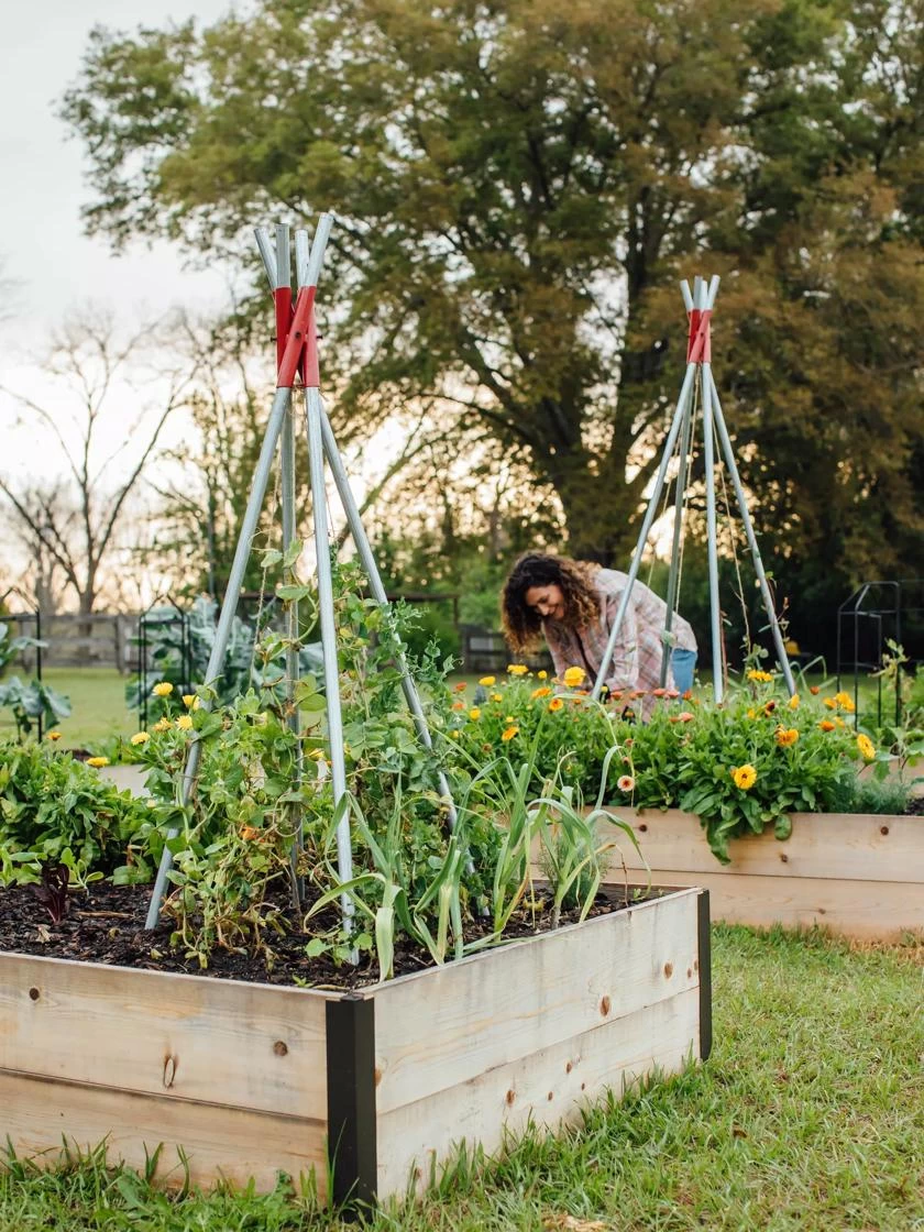 DIY Connector For Teepee Trellis - Image 8