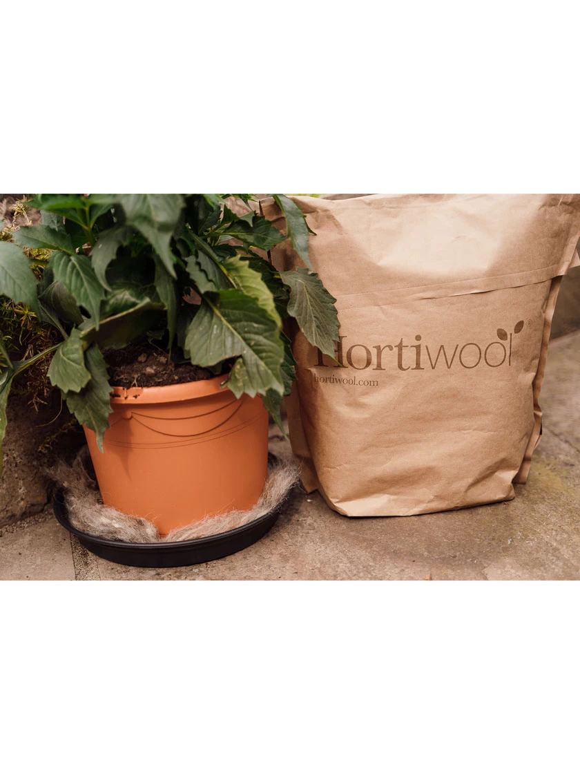 Hortiwool ®, 5 Pad Pack - Image 9
