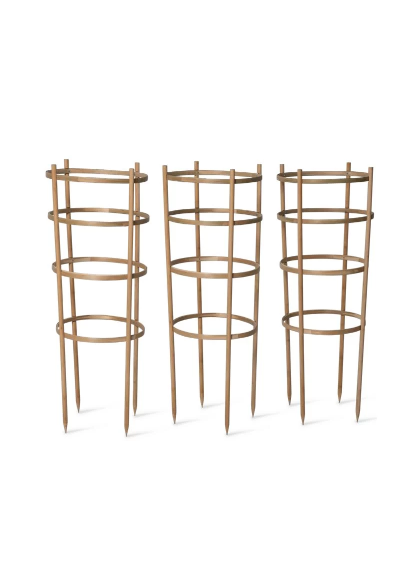 Bamboo Tomato Cages, Set Of 3 - Image 7