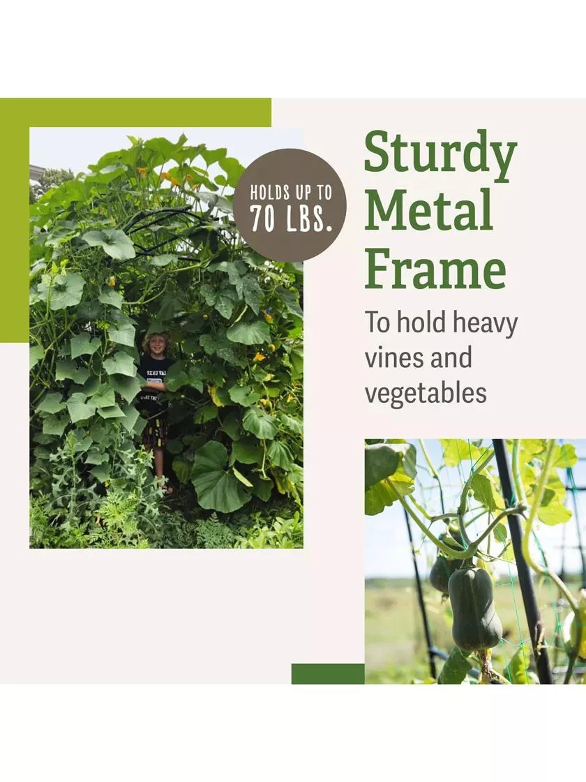 Titan Squash Tunnel - Image 3